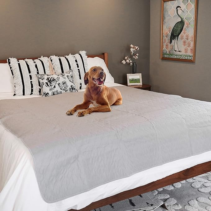 rocket & rex Premium XL Non-Slip Washable Pee Pad for Dogs, Waterproof & Reusable Puppy Pad for Potty Training, Whelping, Travel, Lining Playpens & More, 60" x 60" (Pack of 1)