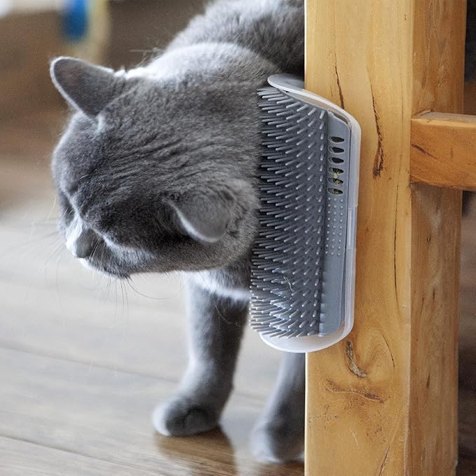Miwoowim Cat Self Groomer, Extended (6.1"), 2 Pack, Pink, Wall Corner Self Grooming Brush for Indoor Cats, Kitten, Long Short Fur, Massage Comb