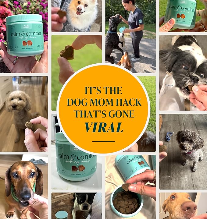 My Lil' Nugget – Vet-Approved Calming Chews for Dogs | All-Natural Calm Treat for Noise, Travel & Home Alone | Hemp, Chamomile & Melatonin | All-Ages - Senior Dog to Puppy | 90 Beef‑Flavor Soft Chews