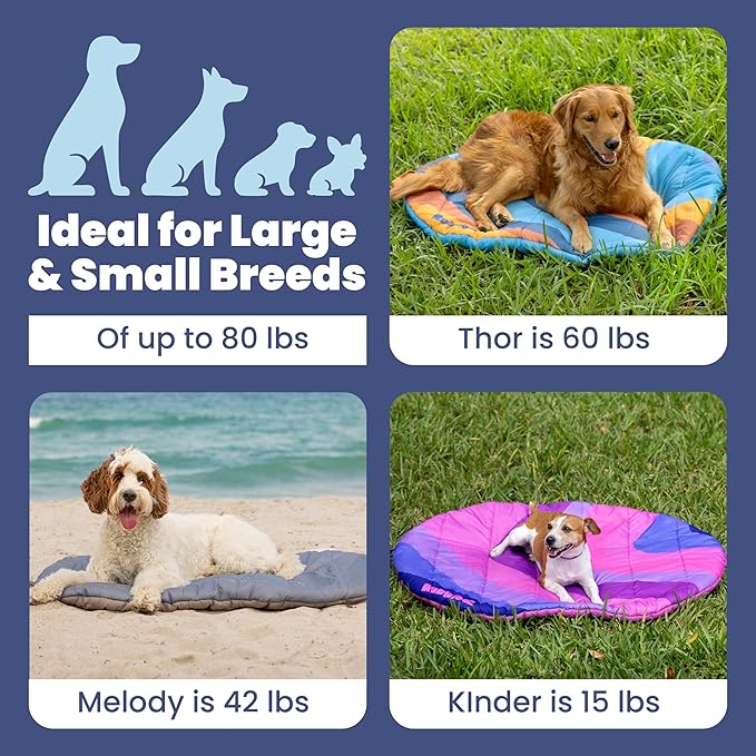 Travel Dog Bed (42" x 30")- Foldable & Packable for Travel, Road Trip, Camping– Lightweight, Water Resistant & Cozy with Soft Padding– Compact, Portable & Machine Washable– Large & Small Breeds: Pink