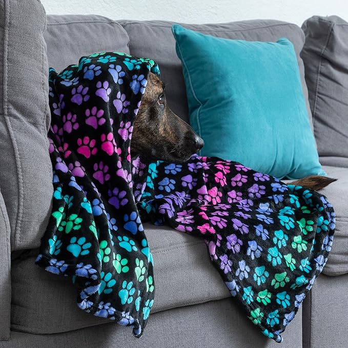 Pet Dog Cat Blanket Ultra Soft Cozy Fleece Paw Print Design Machine Washable Durable for Crates Beds Sofas Travel (Rainbow Paws, Medium)