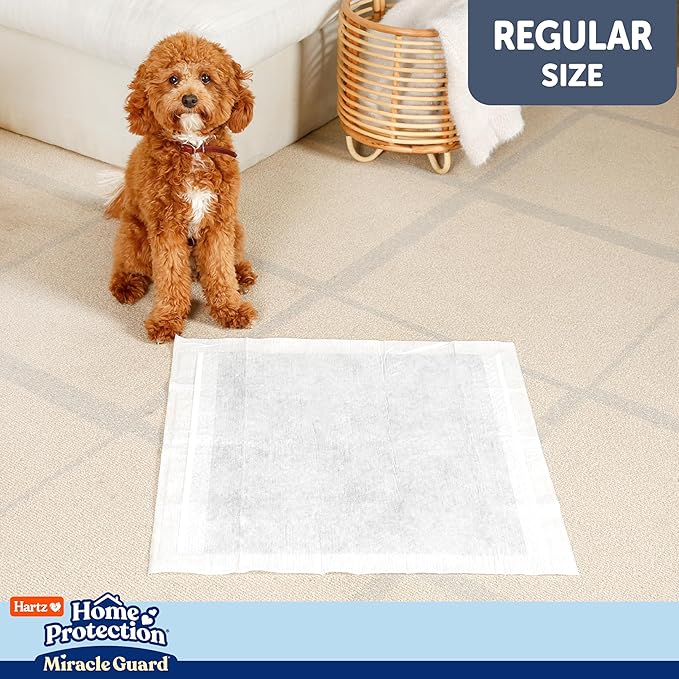 New! Hartz Home Protection Miracle Guard Dog Pads, Regular Size 25 Count, 3X Absorbency & 3X Longer use, Won't Leak and Odor Eliminating