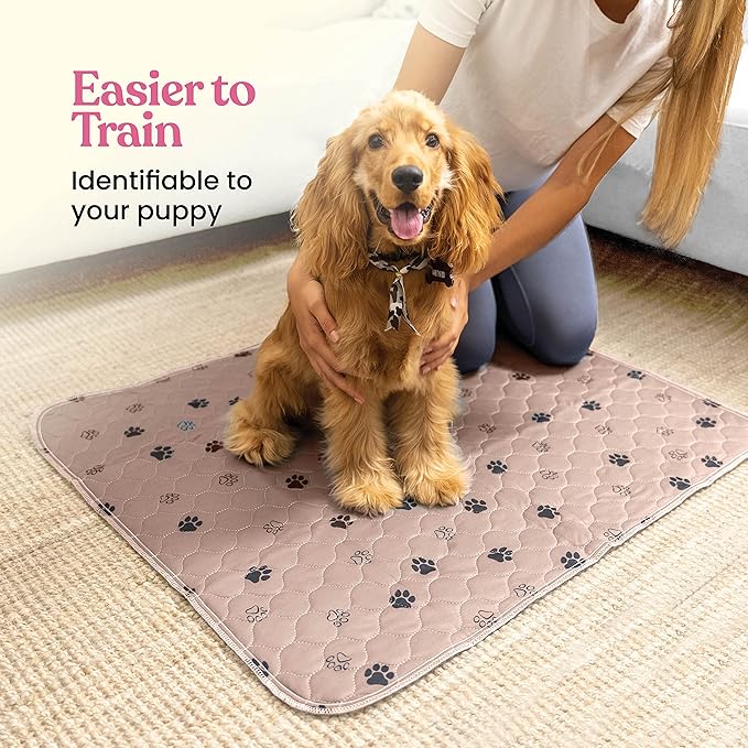 Super Absorbent Washable Pee Pads for Dogs - 2-Pack Superior Reusable Puppy Pads Pet Training Pads –100% Waterproof Dog Pee Pad Protects Against Urine Leakage Non-Slip Grip Prevents Slipping& Bunching