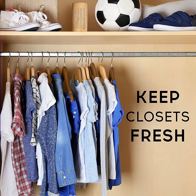 Activated Charcoal Bags - Odor Eliminator for Home - Air Purifying Bags - Bamboo Charcoal - Moisture Absorber - Closest Freshener