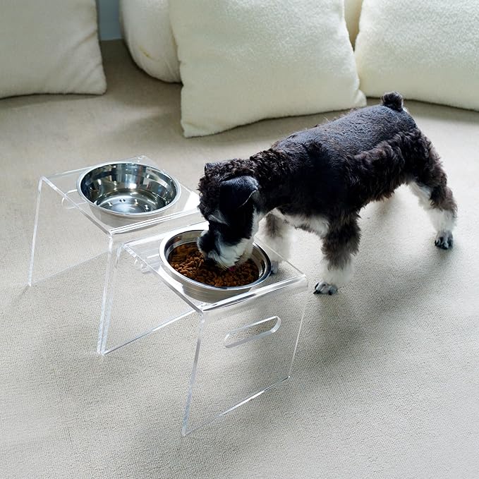 Tilted Raised Elevated Food and Water Bowls Stand for Medium or Large Dogs - Puppy's Clear Acrylic Stainless Steel Dishes Holder for Boy or Girl Pet, Modern, Durable and Easy to Clean (Large-Clear)