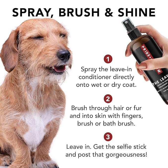 Pride and Groom The Leave in – Dog Conditioner and Detangler Spray Made in USA with Clean Ingredients & Signature Scent to Nourish, Moisturize, Repair, & Add Shine to All Pet Coat Types – 12 fl oz