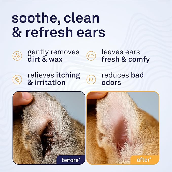 Petpost Large Dog Ear Cleaner Wipes | Ultra Soft XL Cotton Pads in Coconut Oil Aloe Solution | Remedy for Dog Ear Rinse & Cleanser 60 ct.