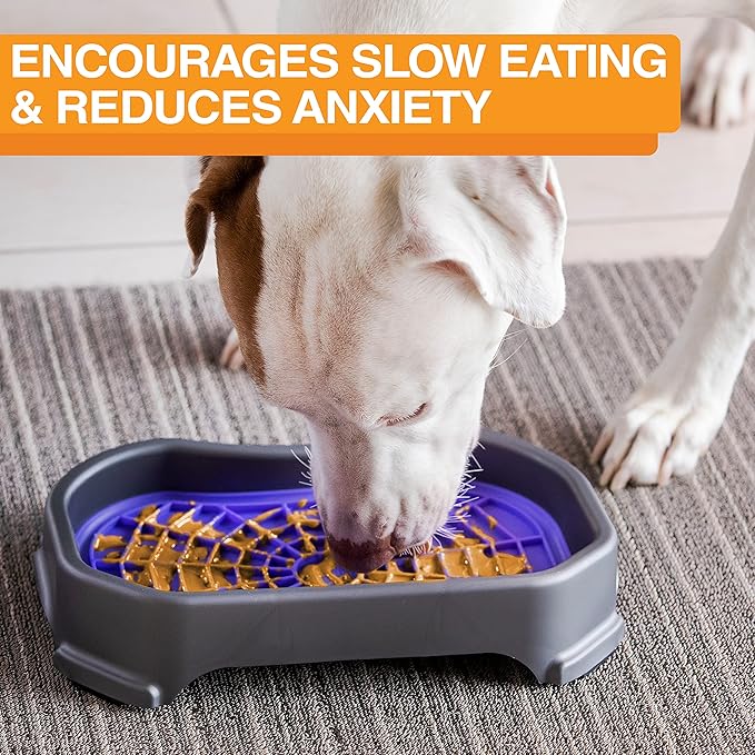 Neater Pet Brands - Neat-LIK with Protective Tray - Slow Feed Pad for Dogs & Cats