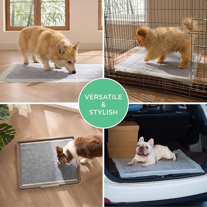 Bedsure Pee Pads for Dogs, 22" x 22" Puppy Pads 50 Count, Super Absorbent & Leak Proof, Small Dog Training Pads Quick Dry Disposable Pets Potty Pads Odor-Control Activated Carbon & ECO Green Material