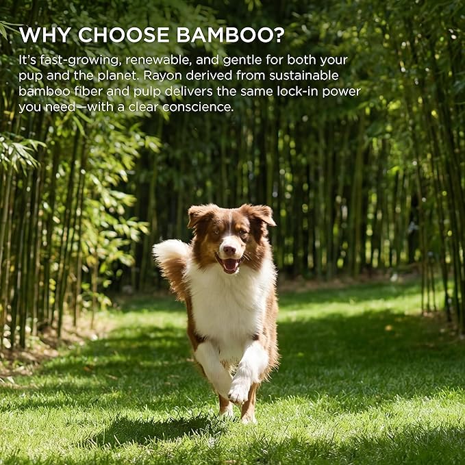 Bedsure Pee Pads for Dogs, 22" x 22" Puppy Pads 50 Count, Super Absorbent & Leak Proof, Small Dog Training Pads Quick Dry Disposable Pets Potty Pads Odor-Control Activated Carbon & ECO Green Material
