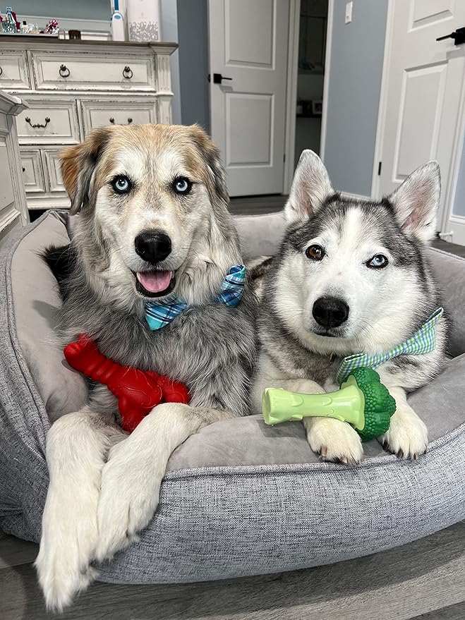 Nylabone Power Chew Toy Bundle, Cute Dog Toys for Aggressive Chewers, Filet Mignon, Cheese, and Bacon Flavors, Large Dogs - Up to 50 lbs, 3 Pack