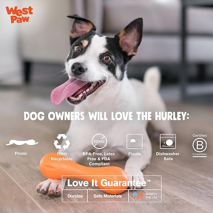 WEST PAW Zogoflex Hurley Dog Bone Chew Toy – Floatable Pet Toys for Aggressive Chewers, Catch, Fetch – Bright-Colored Bones for Dogs – Recyclable, Dishwasher-Safe, Non-Toxic, Small, Aqua