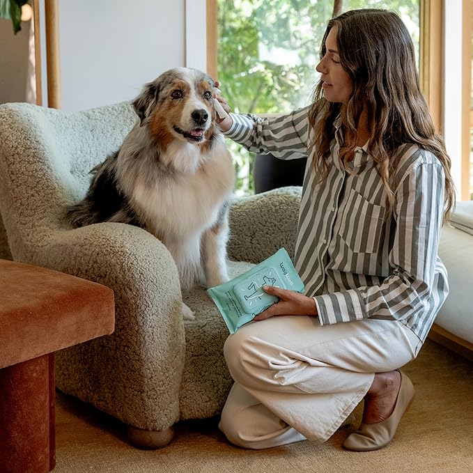 WagWell Daily Cleansing Dog Wipes - Hypoallergenic, Fragrance Free, Microbiome-Friendly Grooming Wipes for Dogs - 50 Count