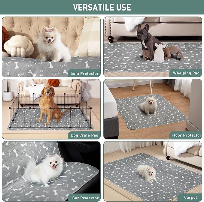 Eterish Reusable Washable Pee Pads for Dogs Large/Extra Large 31'' x 36'' 2 Pack, Absorbent Pet Puppy Dog Training Pads Non-Slip, Waterproof Whelping Potty Pads for Dogs Leak-Proof