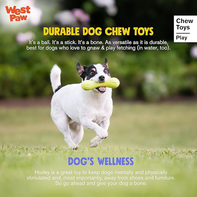 WEST PAW Zogoflex Hurley Dog Bone Chew Toy – Floatable Pet Toys for Aggressive Chewers, Catch, Fetch – Bright-Colored Bones for Dogs – Recyclable, Dishwasher-Safe, Non-Toxic, Small, Aqua