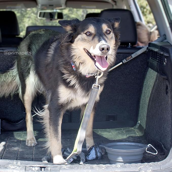 Sale Collapsible Silicone Water Travel Bowl with Clip for Dog and Cat, Portable and Durable Pop-up Feeder for Convenient On-The-go Feeding Size: Large (5 Cups) Grey