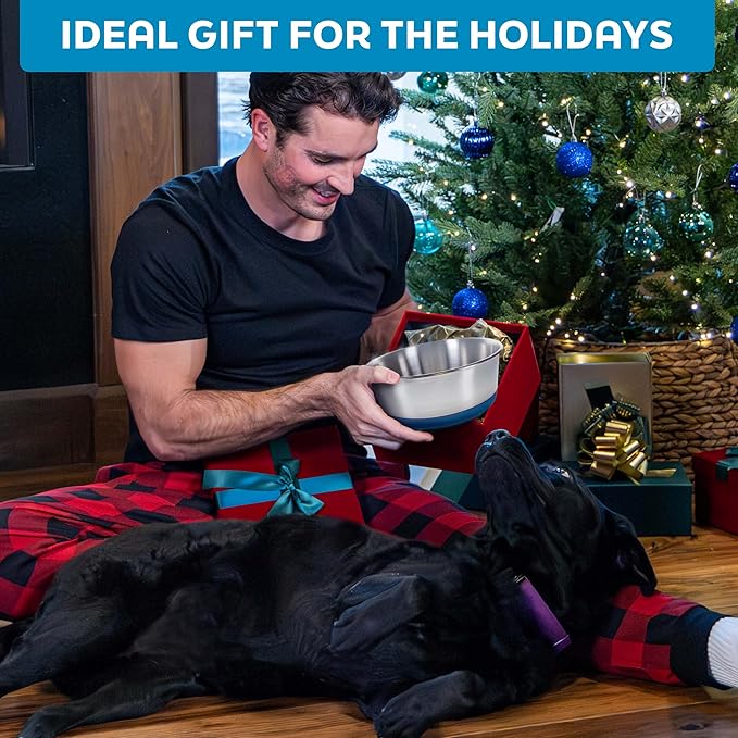 Master Pet Supply Stainless Steel Dog Bowls Set of 2 with Extra Thick Silicone Base - 16 Cup (128 oz) Plum Crazy, Non-Slip, Dishwasher Safe Metal Bowls, Pet Dog Food Bowl for Dogs, Cats, Anti Rust