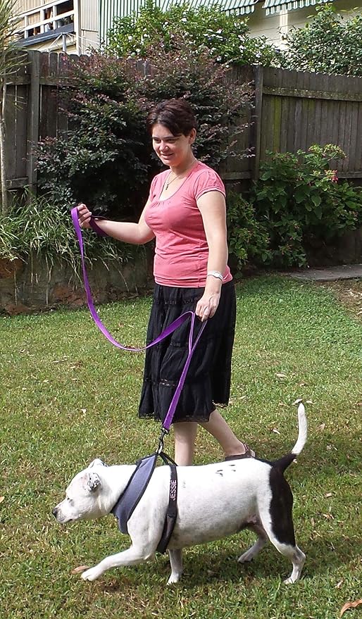 Primal Pet Gear Dog Leash 6ft Long,Traffic Padded Two Handle,Heavy Duty,Reflective Double Handles Lead for Control Safety Training,Leashes for Large Dogs or Medium Dogs,Dual Handles Leads(Purple)