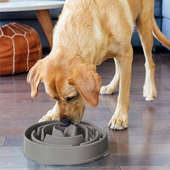 Outward Hound Fun Feeder Slo Bowl – Large 4‑Cup Capacity, Slow Feeding, Medium to Large Dogs, Non‑Slip, Gray, Drop Pattern, 11.75"