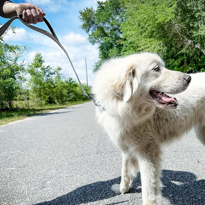 Joytale Dog Leash Heavy Duty for Large Dogs that Pull, Double Handle for Traffic Control, Double-Sided Reflective Leashes for Large Medium Dogs Night Safety, 6FT, Gray