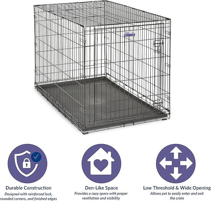 MidWest Homes for Pets 48-Inch iCrate Folding Dog Crate with Divider Panel, Leak-Proof Tray & Secure Latches – Metal Wire Kennel for XL Breeds – Portable, Durable & Easy to Assemble