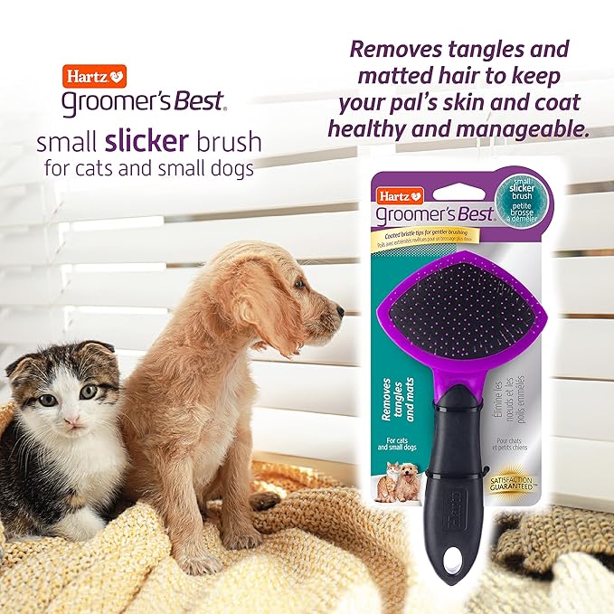 Hartz Groomer's Best Small Slicker Brush for Cats and Small Dogs,Black/Violet,(Pack of 2)