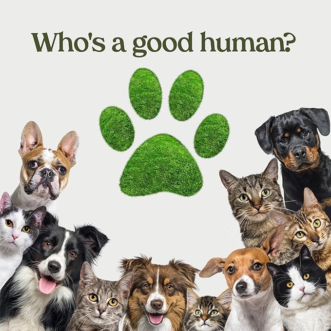 PAWFUME Skin & Coat Detangler Spray for Dogs, 4-Pack – Soothe Dry, Itchy Coats Quickly – Non-Toxic Chamomile & Oat Formula, Essential Fatty Acids & Vet-Certified – Dog Detangler Spray Dematting Care