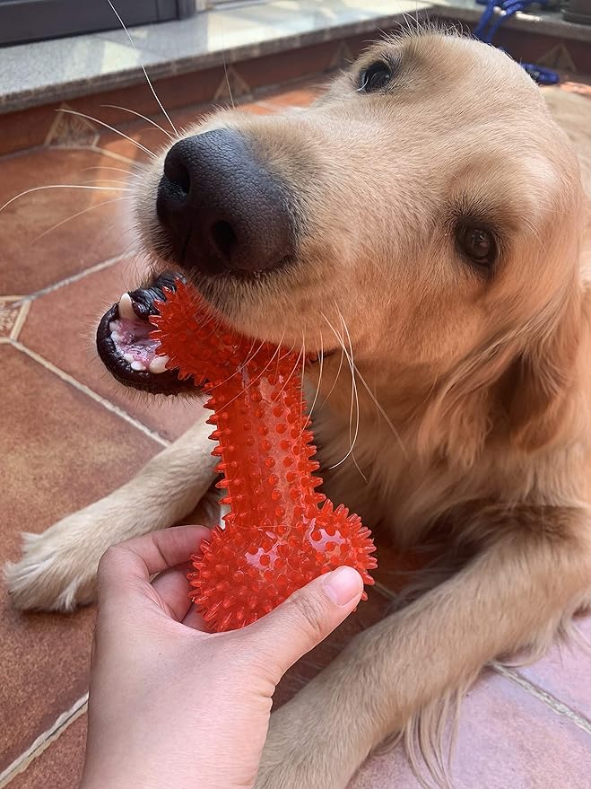 Jalousie Dog Squeaky Toys Value Set Non-Toxic Squeaky Balls Toss Fetch TPR Rubber Puppy Toys Spikey Dog Chew Toy for Small Medium Breed Pet Toys for Puppy (6 Pack Spiky Ball)