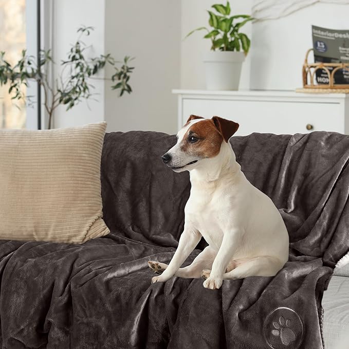 PETMAKER Dog Blanket - 60x80in Reversible Sherpa Blanket - Throw Blankets for Bed, Couch, or Car - Machine Washable Puppy Essentials (Charcoal)
