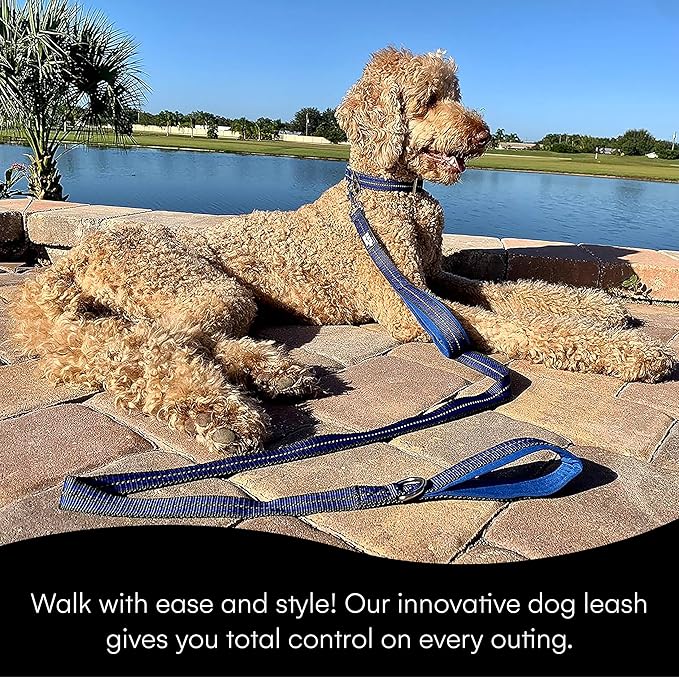 Black Rhino Heavy Duty Dog Leash for Medium and Large Dogs - 5 ft Long Double Handle Dog Leash with Padded Traffic Control Handles - Reflective, Durable, and Weather Resistant (Blue and Gray)