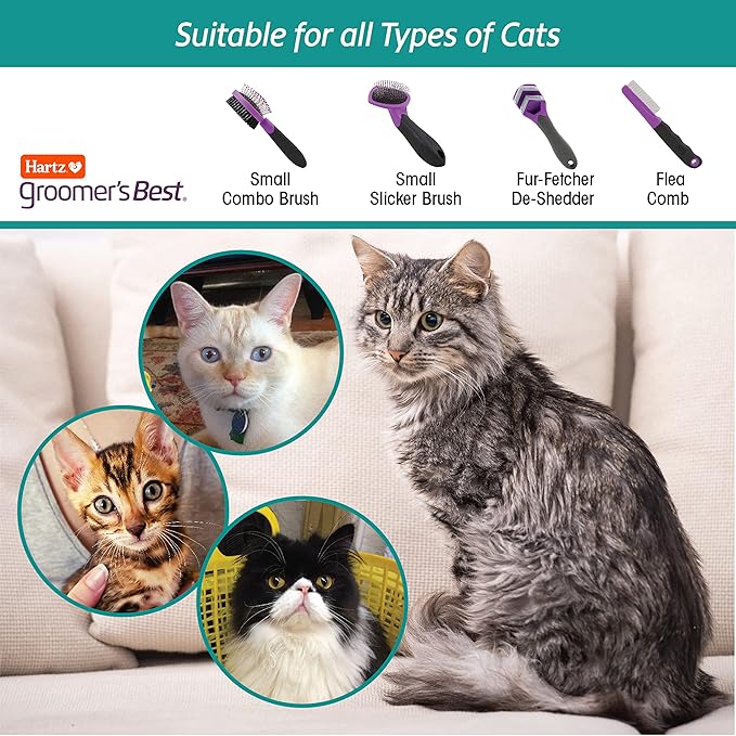 Hartz Groomer's Best Small Slicker Brush for Cats and Small Dogs,Black/Violet,(Pack of 2)