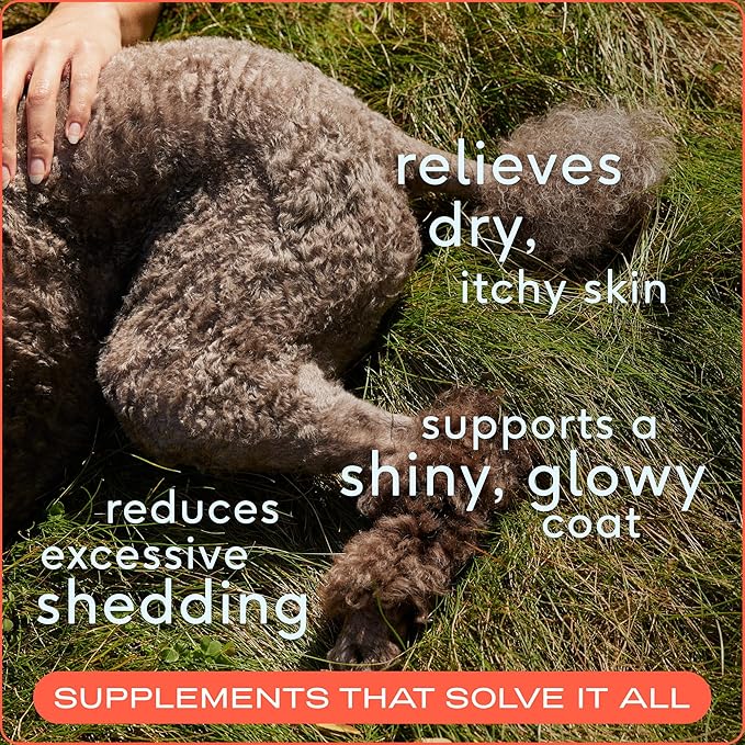 Native Pet Calm & Comfort Bundle: Dog Calming Chews (120 Air-Dried Chews) & Omega 3 Fish Oil (16 Oz.) - Natural Anxiety Relief with Melatonin & Fast-Absorbing Omega 3 6 9 Supplement for Dogs