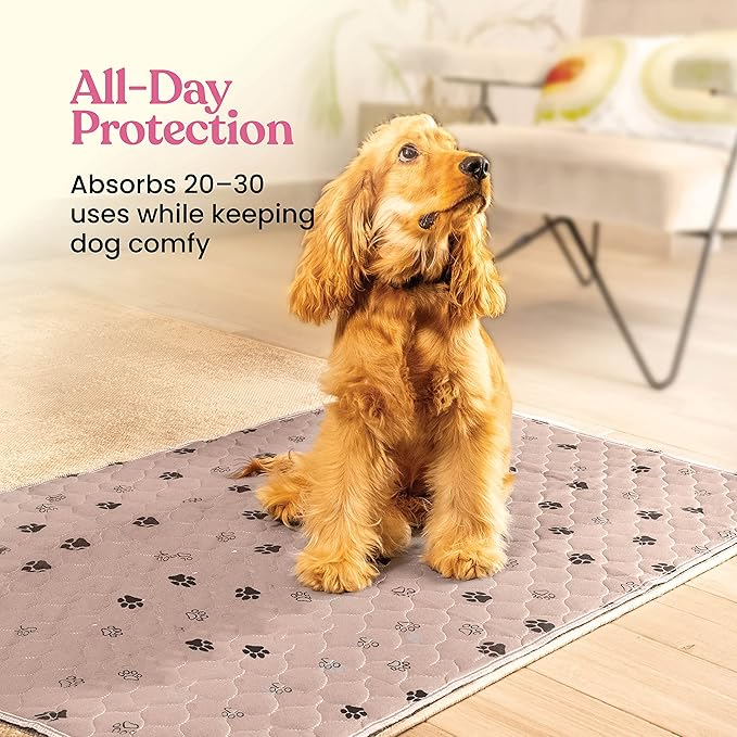 Super Absorbent Washable Pee Pads for Dogs - 2-Pack Superior Reusable Puppy Pads Pet Training Pads –100% Waterproof Dog Pee Pad Protects Against Urine Leakage Non-Slip Grip Prevents Slipping& Bunching