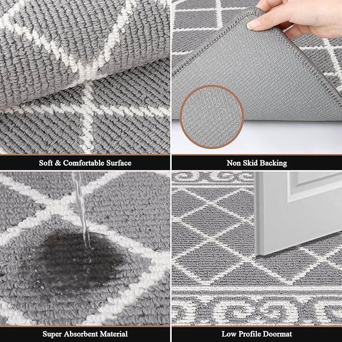 HEBE Indoor Door Mat 20''x32'' Non Slip Front Door Welcome Mats Washable Shoe Mats Dirt Trapper for Entryway Low Profile Kitchen Carpet for Entrance Hallways Entrance Mat for Dogs