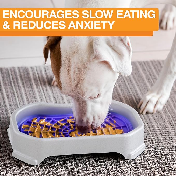 Neater Pets - Neat-LIK with Protective Tray - Slow Feed Pad for Dogs & Cats - Provides Boredom & Anxiety Relief (2 Pack w/Vanilla Bean Tray, Green & Purple)