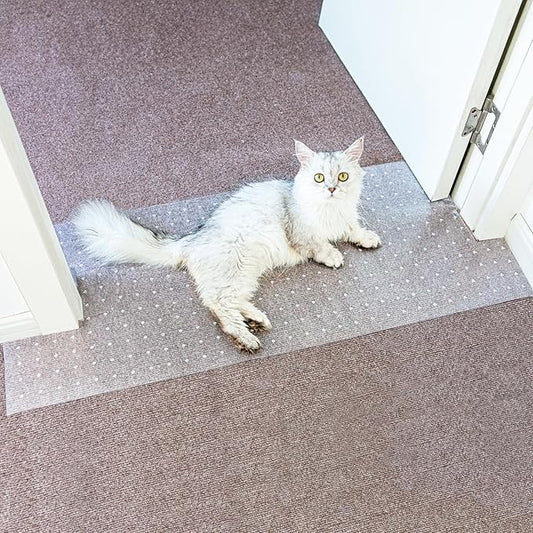 Carpet Protector for Pets Cat Carpet Protector for Doorway, Anti Scratch Under Door Cat Scratch Protector Mat, Easy to Cut Plastic Stopper (Clear, 5.2FT-1pack)