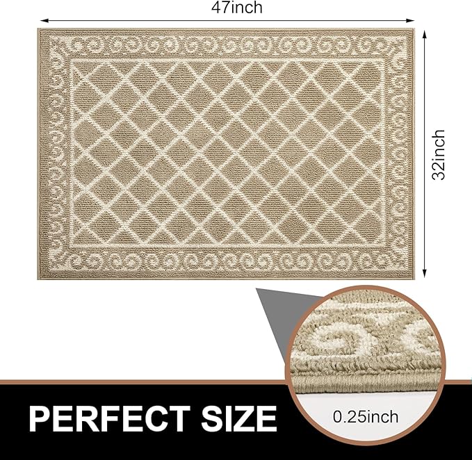 HEBE Indoor Door Mat 32"x48" Non Slip Front Door Welcome Mats Washable Shoe Mats Dirt Trapper for Entryway Low Profile Kitchen Carpet for Entrance Hallways Entrance Mat for Dogs