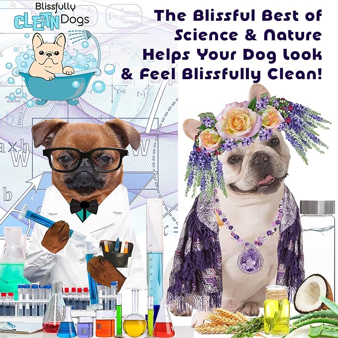 The Blissful Dog Shine-On + Sheen Coat Dog Spray, Easy-to-Use Conditioner, Sensitive Skin-Friendly Leave-in Conditioner, Detangler Spray, 4 oz.