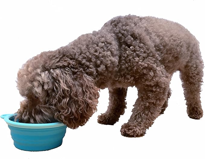 Prima Pet Expandable/ Collapsible Silicone Food & Water Travel Bowl with Clip for Small & Medium Dog and Cat, Size: 1.5 Cups (5.1 Inch Diameter Bowl) (AQUA)