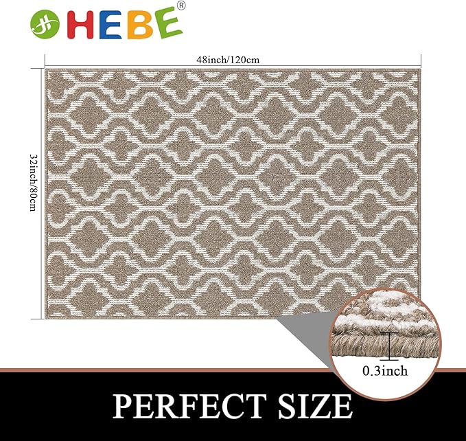HEBE Indoor Door Mat 32"x48" Non Slip Front Door Welcome Mats Washable Shoe Mats Dirt Trapper for Entryway Low Profile Kitchen Carpet for Entrance Hallways Entrance Mat for Dogs