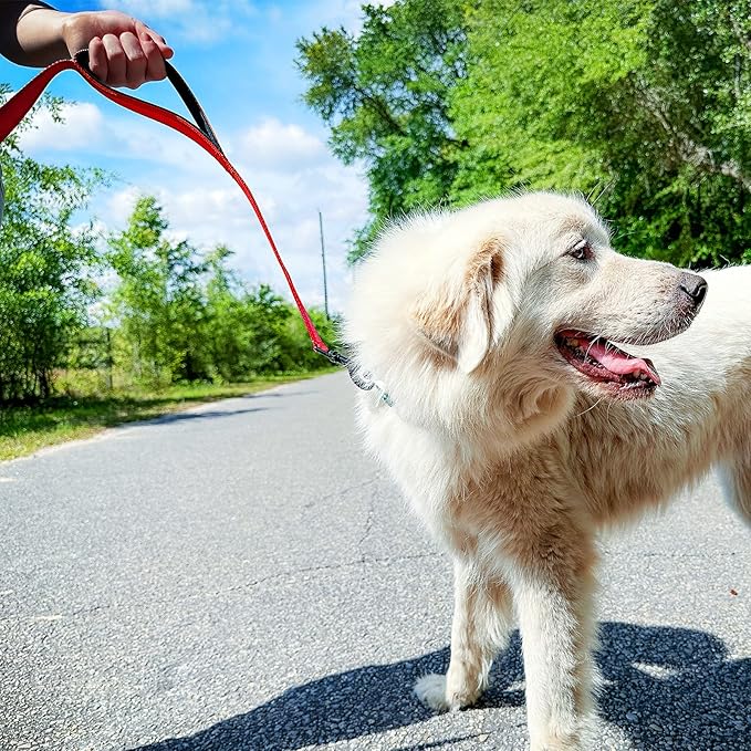Joytale Dog Leash Heavy Duty for Large Dogs that Pull, Double Handle for Traffic Control, Double-Sided Reflective Leashes for Large Medium Dogs Night Safety, 5FT, Red