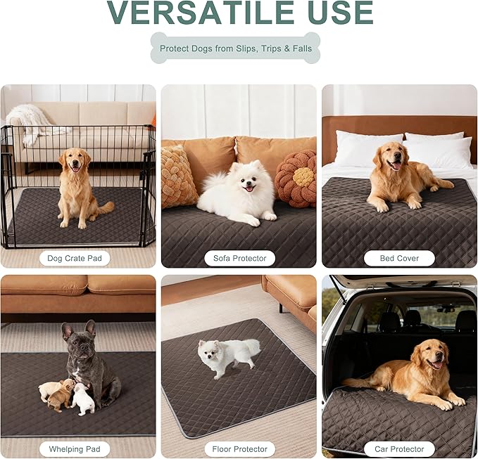 Eterish Reusable Washable Pee Pads for Dogs Large/Extra Large 36'' x 41'' 2 Pack, Absorbent Pet Puppy Dog Training Pads Non-Slip, Waterproof Whelping Potty Pads for Dogs Leak-Proof