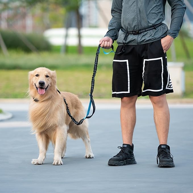 iYoShop Hands Free Dog Leash with Zipper Pouch, Dual Padded Handles and Durable Bungee for Walking, Jogging and Running Your Dog (Yellow Heart, Large)