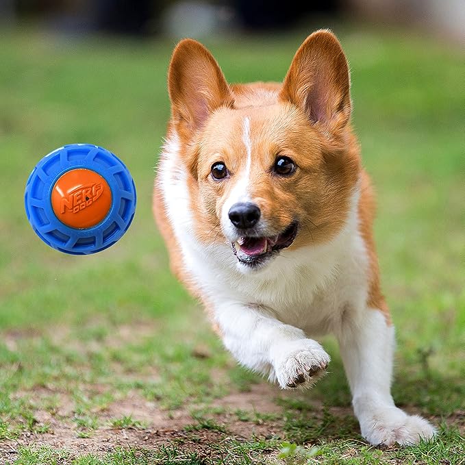 3in TPR EXO Squeak Ball - Blue/Orange