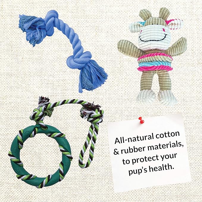 rocket & rex Dog Chew Toy Set for Small to Medium Breeds, Includes All Natural Rubber, Cotton, Ball & Rope Toys, Ideal Puppy Chew Toys for Teething, Reduces Destructive Chewing & Anxiety (Pack of 6)