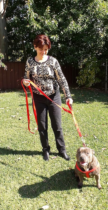Primal Pet Gear Dog Leash 6ft Long,Traffic Padded Two Handle,Heavy Duty,Reflective Double Handles Lead for Control Safety Training,Leashes for Large Dogs or Medium Dogs,Dual Handles Leads(Red)