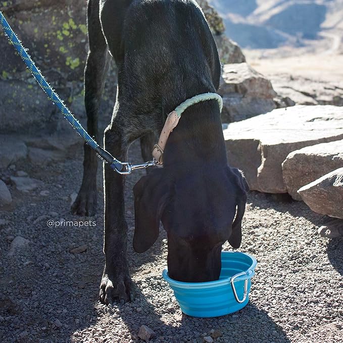 Prima Pet Expandable / Collapsible Silicone Food & Water Travel Bowl with Clip for Medium & Large Dog, Portable and Durable Pop-up Feeder for Convenient On-the-go Feeding, Size: 5 Cups (7 Inch Diameter Bowl) (LARGE (5 CUPS), AQUA)