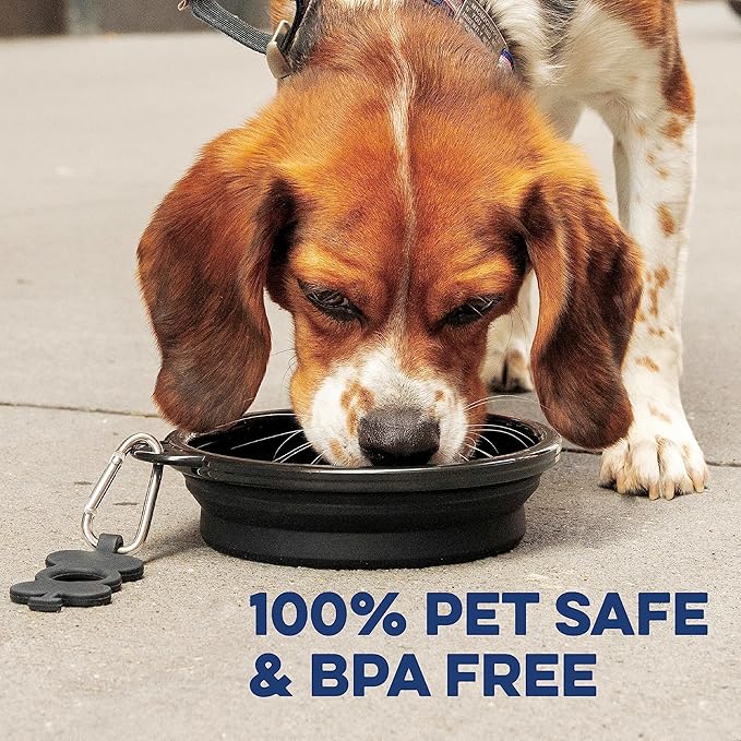Bonza Collapsible Dog Bowls - Medium 25 oz, Dog Travel Accessories, Silicone Portable Dogs Bowl & Water Dish with Reinforced Rim & Carabiner for Hiking, Camping, and Car Trips, Periwinkle